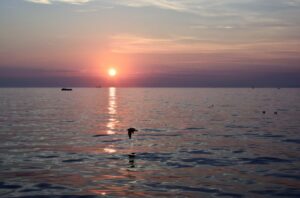 Cosa vedere a Trieste e dintorni