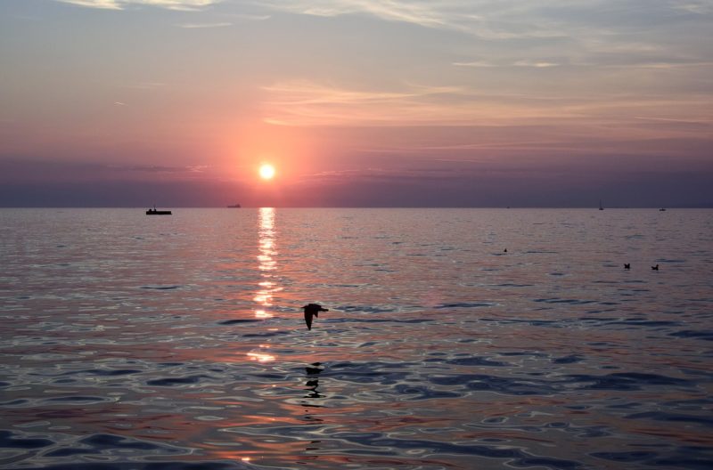 Cosa vedere a Trieste e dintorni