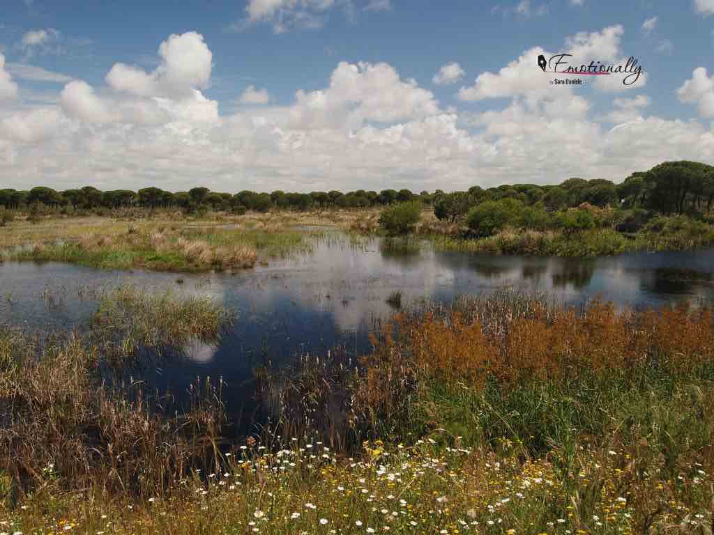 Parco Nazionale di Donana