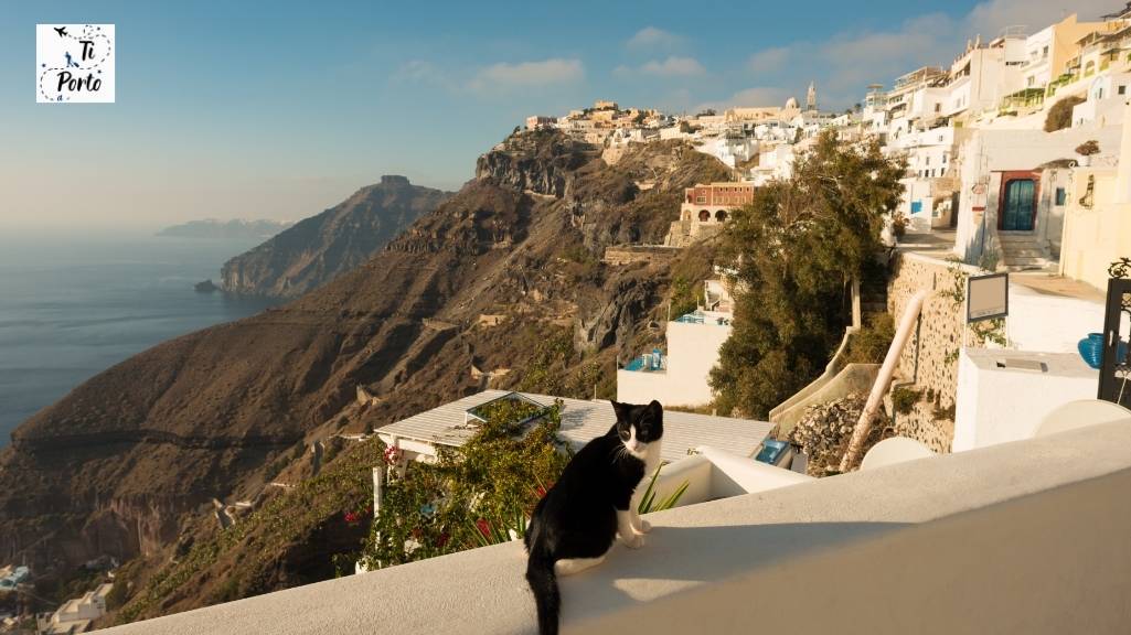 Fira Santorini