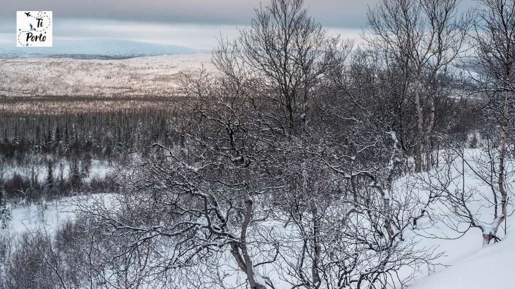 Lapponia Russa, Penisola di Kola