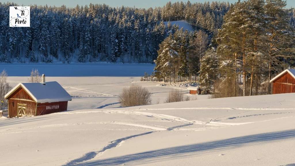 Lapponia svedese